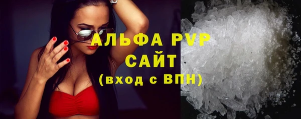 прущие грибы Белоозёрский