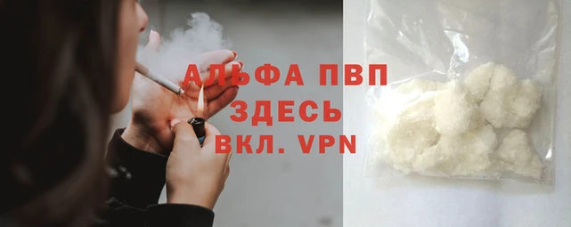 стафф Белокуриха