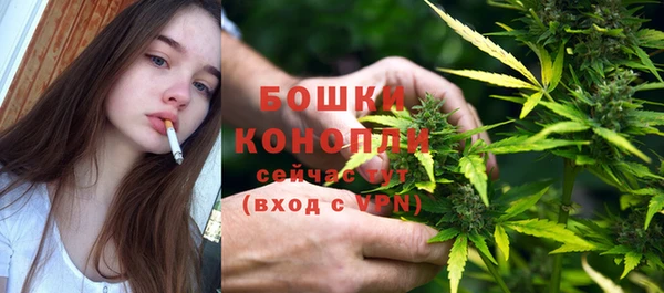 прущие грибы Белоозёрский
