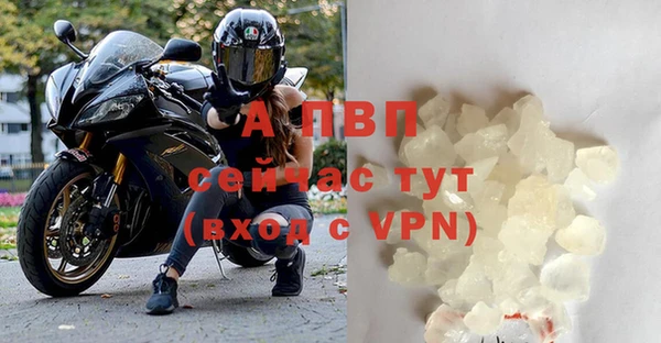 прущие грибы Белоозёрский