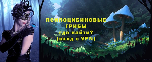 ALPHA-PVP Богородицк