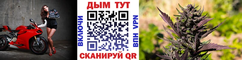 дарнет шоп Колпашево Шишки марихуана марихуана